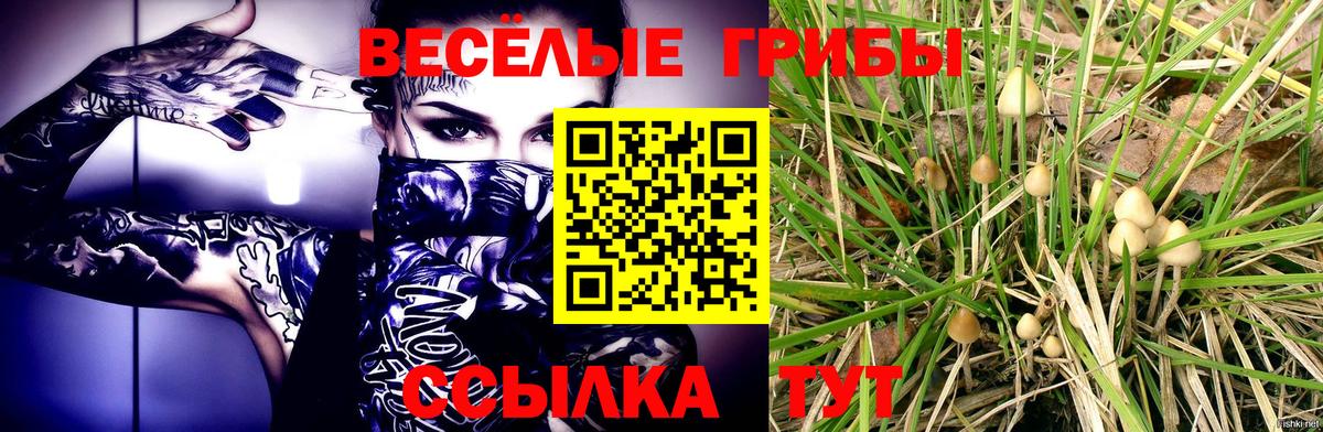 Находка  Галлюциногенные грибы ЛСД  Галлюциногенные грибы мухоморы  Вход с VPN 